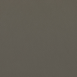 LEMA Pelle Basic PB 6016