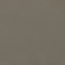 LEMA Pelle Basic PB 6018