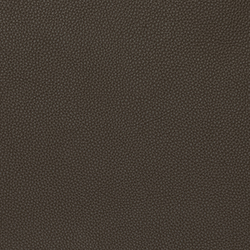 LEMA Pelle Basic PB 6024