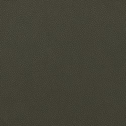 LEMA Pelle Basic PB 6039