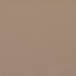 LEMA Pelle Basic PB 6074