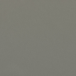 LEMA Pelle Basic PB 6082