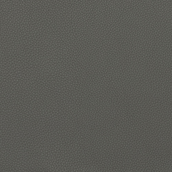 LEMA Pelle Basic PB 6083