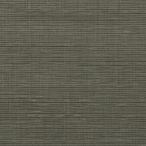 LEMA carta da parati DALIM DB241