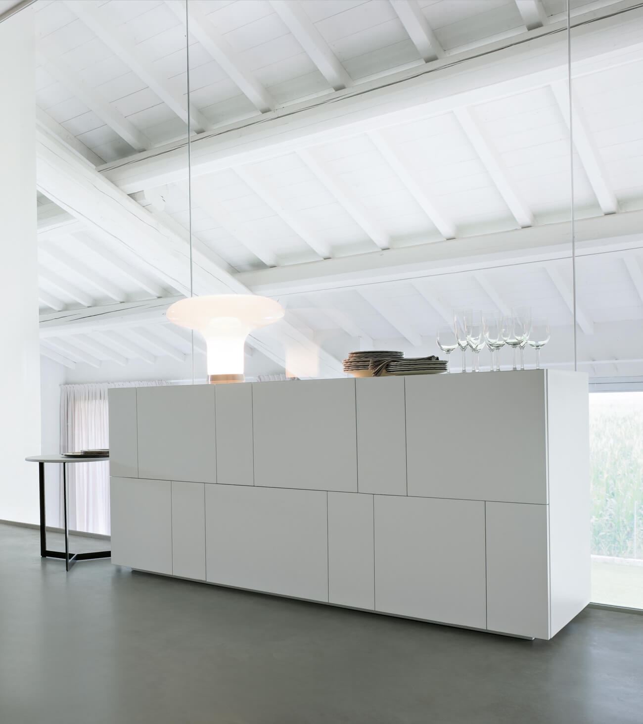 Madia Ortelia bianca