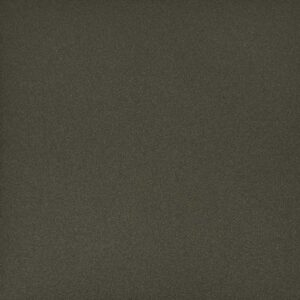 verniciato titanio M460